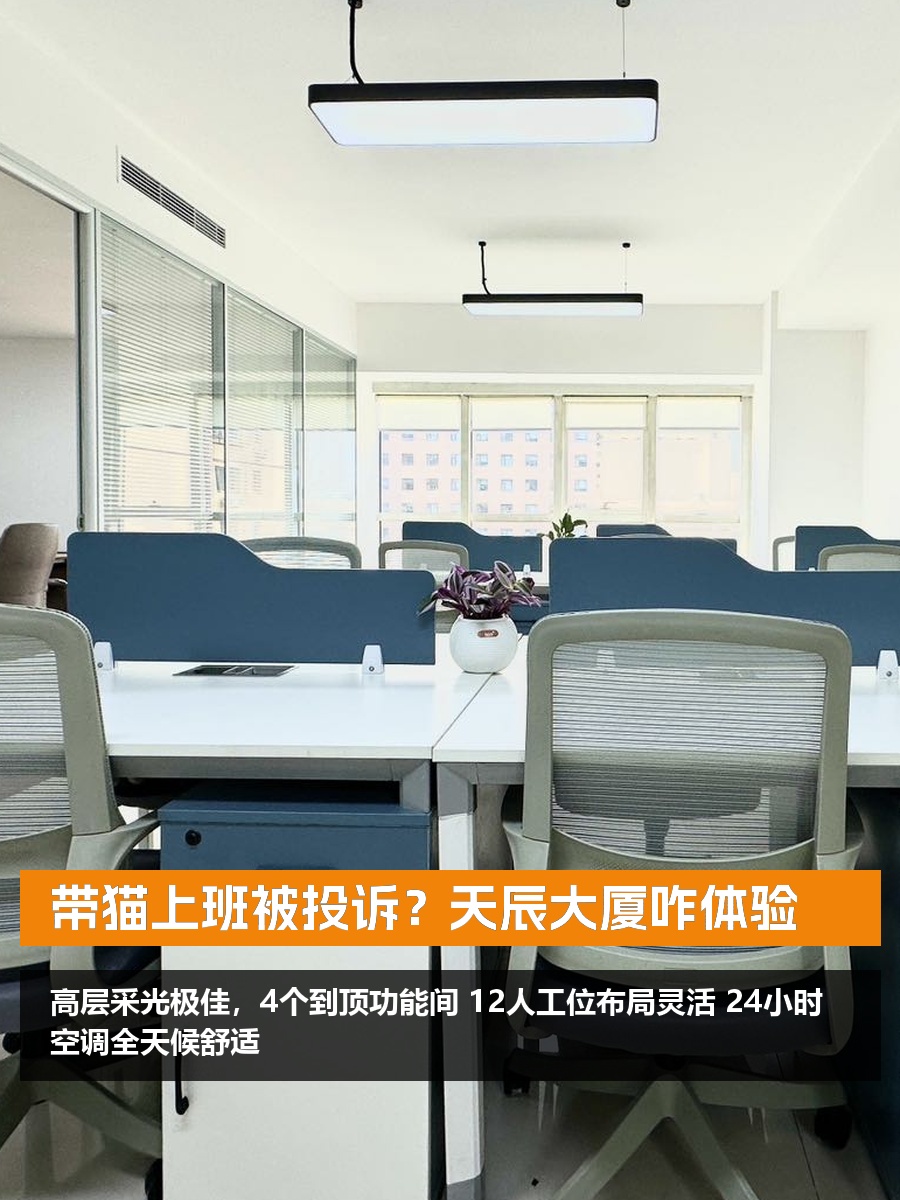 带猫上班被投诉？天辰大厦咋体验