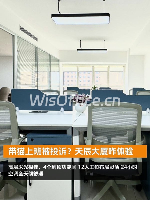 带猫上班被投诉？天辰大厦咋体验 - 首图