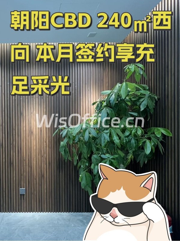 朝阳CBD 240㎡西向 本月签约享充足采光 - 首图