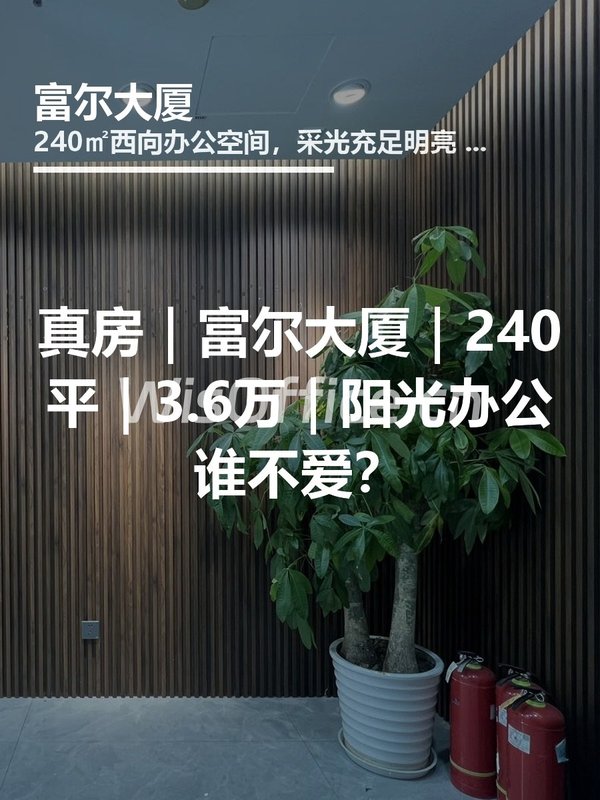 真房｜富尔大厦｜240平｜3.6万｜阳光办公谁不爱？ - 首图