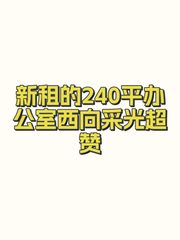 新租的240平办公室西向采光超赞 - 缩略图 1
