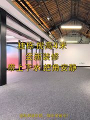 推荐158平独栋挑高4米全新装修 - 缩略图 1