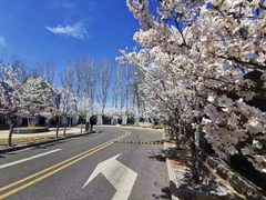 燕莎核心2192㎡四面采光 周边配套丰富 - 缩略图 13