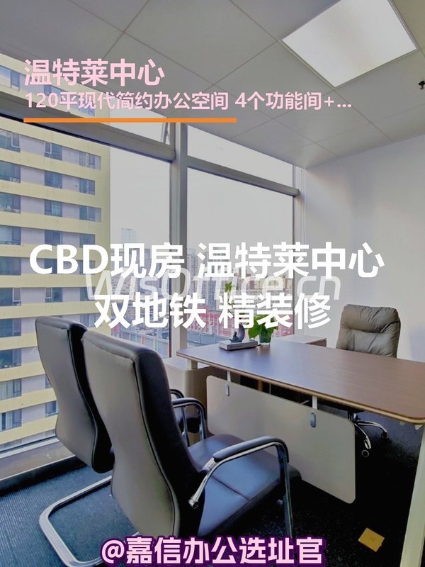 CBD现房 温特莱中心 双地铁 精装修 - 首图
