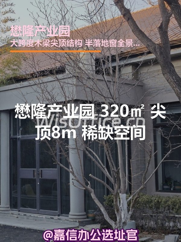 懋隆产业园 320㎡ 尖顶8m 稀缺空间 - 首图