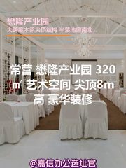 懋隆产业园 320㎡ 尖顶8m高 - 缩略图 1