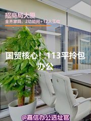 国贸核心！113平拎包办公 - 缩略图 1