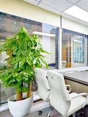 真房｜招商局大厦 |113平｜精准匹配需求 - 缩略图 1