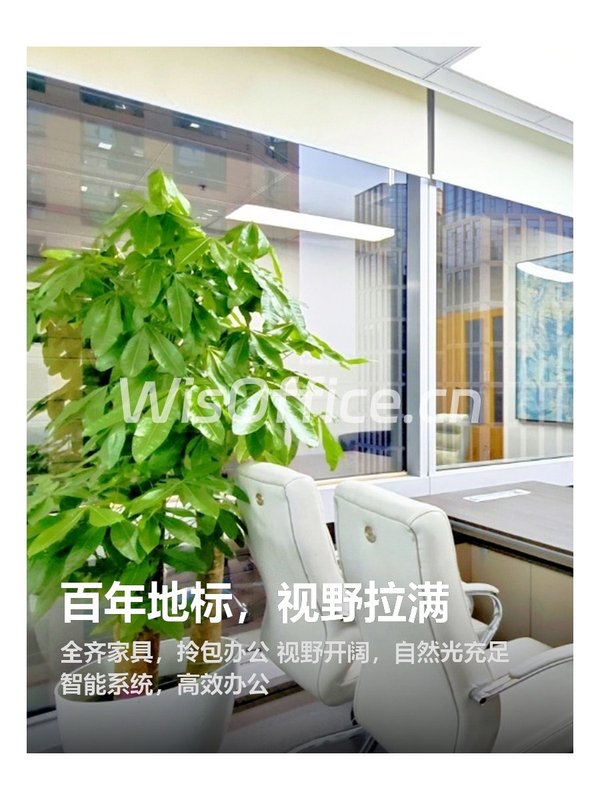 百年地标，视野拉满 - 首图