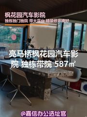 枫花园汽车影院 独栋带院 587㎡ - 缩略图 1