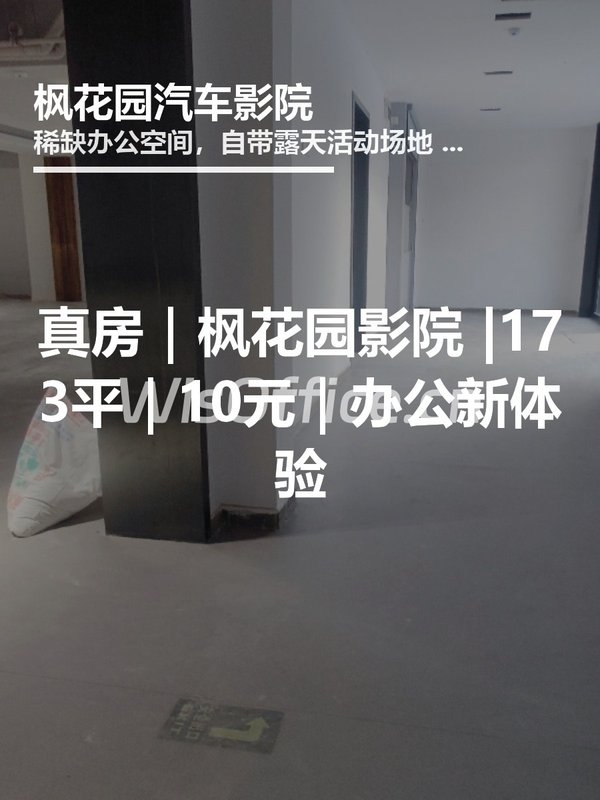 真房｜枫花园影院 |173平｜10元｜办公新体验 - 首图