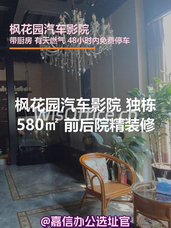 枫花园汽车影院 独栋580㎡ 前后院精装修 - 首图