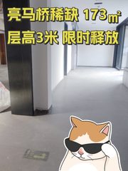 亮马桥稀缺 173㎡ 层高3米 限时释放 - 缩略图 1