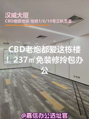 CBD老炮都爱这栋楼！237㎡免装修拎包办公 - 缩略图 1