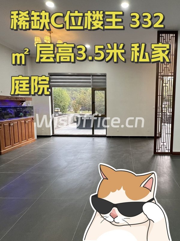 稀缺C位楼王 332㎡ 层高3.5米 私家庭院 - 首图
