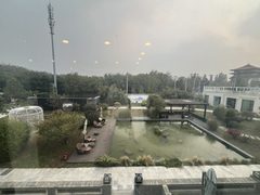 创意公司必看：阳光办公自带庭院 - 缩略图 10