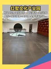 朝阳红墅产业园 332㎡南向带庭院 - 缩略图 1