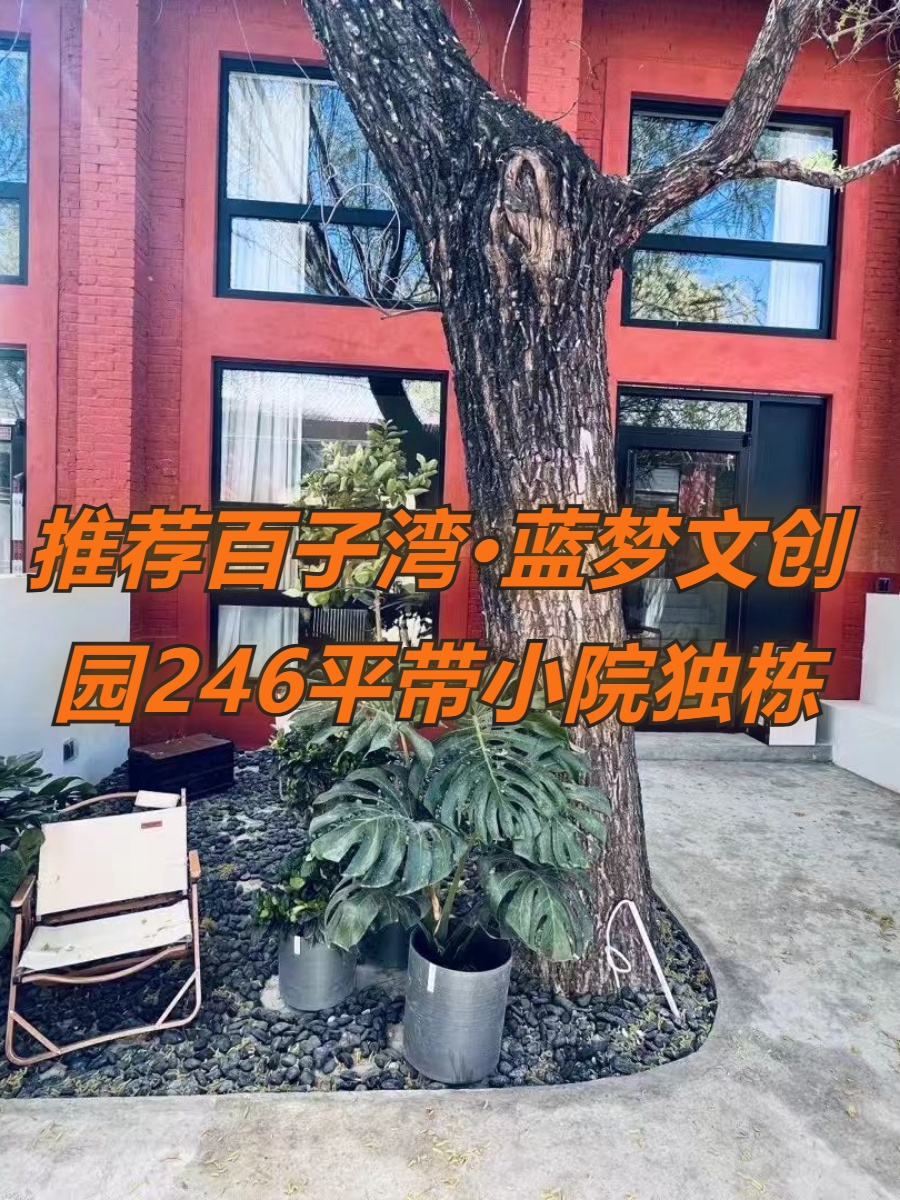 推荐百子湾·蓝梦文创园246平独栋复式