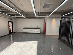 百子湾独栋复式246平全景落地窗 - 缩略图 8