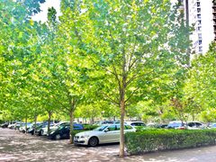 百环大厦546平精装带家具双地铁 - 缩略图 5