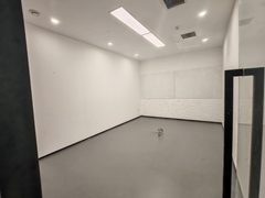 竞园影像基地 929平独栋 带小院 地铁7号线 - 缩略图 6