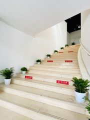 766㎡独栋两层，价格可谈，南北双采光 - 缩略图 9
