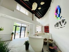 766㎡独栋两层，价格可谈，南北双采光 - 缩略图 12