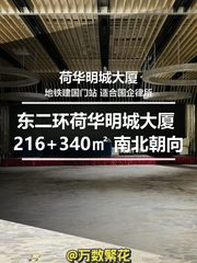 东二环荷华明城大厦 216+340㎡ 南北朝向 - 缩略图 1