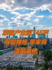 莱锦产业园745平 双层独栋 带家具 遗留装修 - 缩略图 1