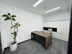 大望路蓝堡中心正对电梯好房 - 缩略图 8