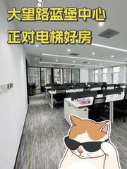大望路蓝堡中心正对电梯好房 - 缩略图 1