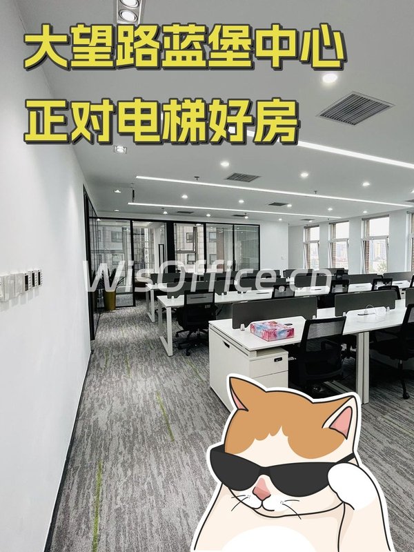 大望路蓝堡中心正对电梯好房 - 首图