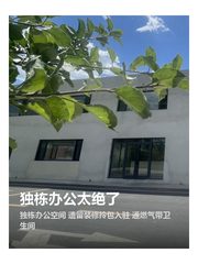 独栋办公太绝了 - 缩略图 1