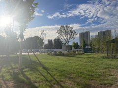 东坝独栋598平南北通透带燃气 - 缩略图 23