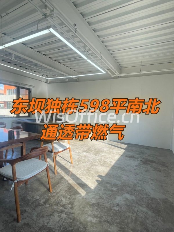 东坝独栋598平南北通透带燃气 - 首图