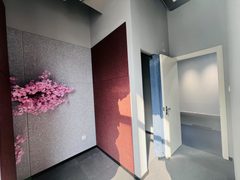 金田影视产业园 267平 4直播间 精装修 - 缩略图 10