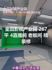金田影视产业园 267平 4直播间 老板间 精装修 - 缩略图 1