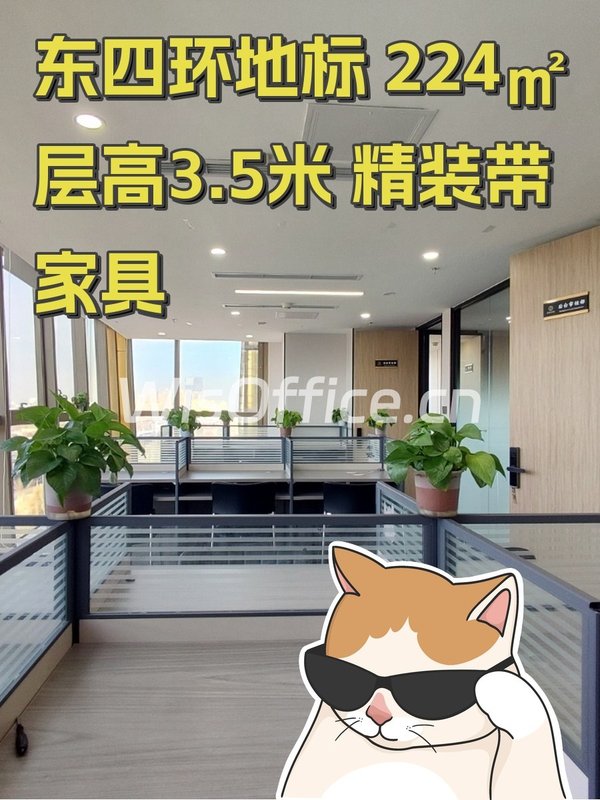 东四环地标 224㎡ 层高3.5米 精装带家具 - 首图