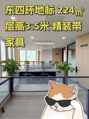 东四环地标 224㎡ 层高3.5米 精装带家具 - 缩略图 1