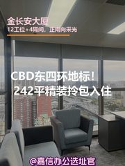 CBD东四环地标！242平精装现房拎包入住 - 缩略图 1