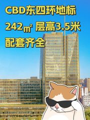 CBD东四环地标 242㎡ 层高3.5米 配套齐全 - 缩略图 1