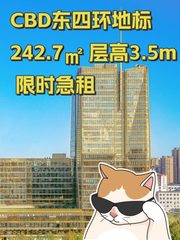 CBD东四环地标 242.7㎡ 层高3.5m 限时急租 - 缩略图 1