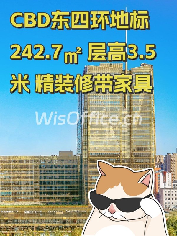 CBD东四环地标 242.7㎡ 层高3.5米 精装修带家具 - 首图