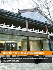 带宠物上班？高碑店独栋啥体验 - 缩略图 1
