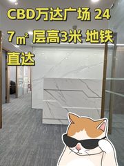 CBD万达广场 247㎡ 层高3米 地铁直达 - 缩略图 1