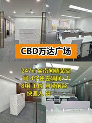 国贸精装大平层 拎包就开干 - 缩略图 1