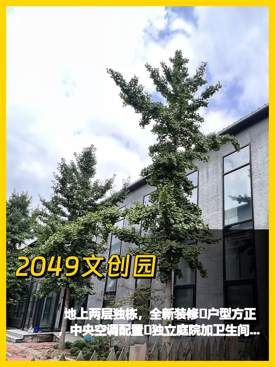 双桥独栋文创院落 1080㎡全景落地窗