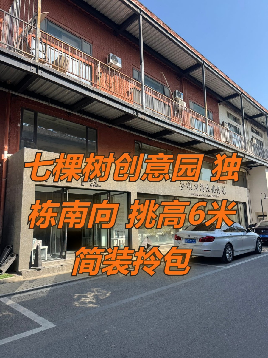 七棵树创意园 独栋南向 挑高6米 简装拎包