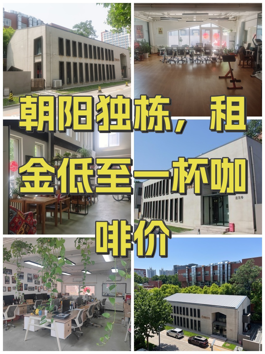 朝阳独栋，租金低至一杯咖啡价
