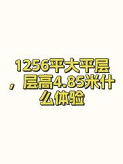 1256平大平层，层高4.85米什么体验 - 缩略图 1